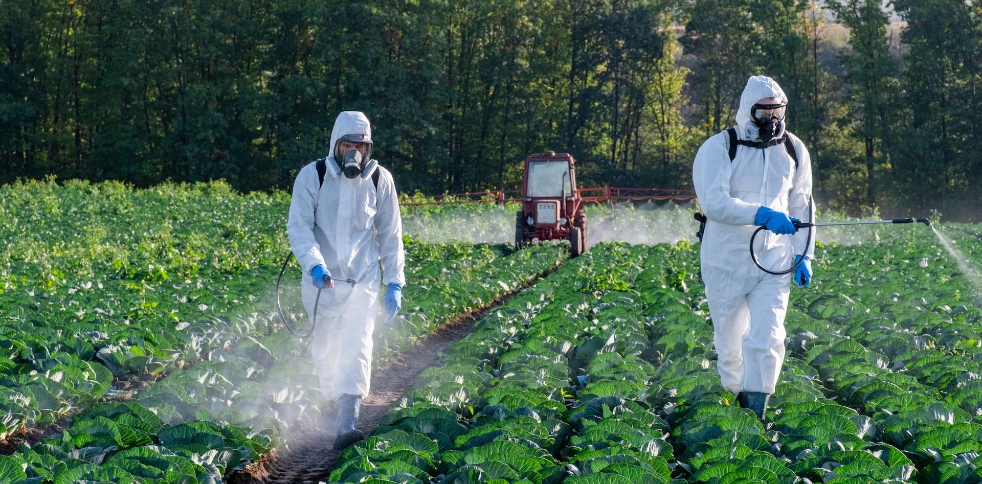 L Usage Des Pesticides En France A Explos Ces Derni Res Ann Es