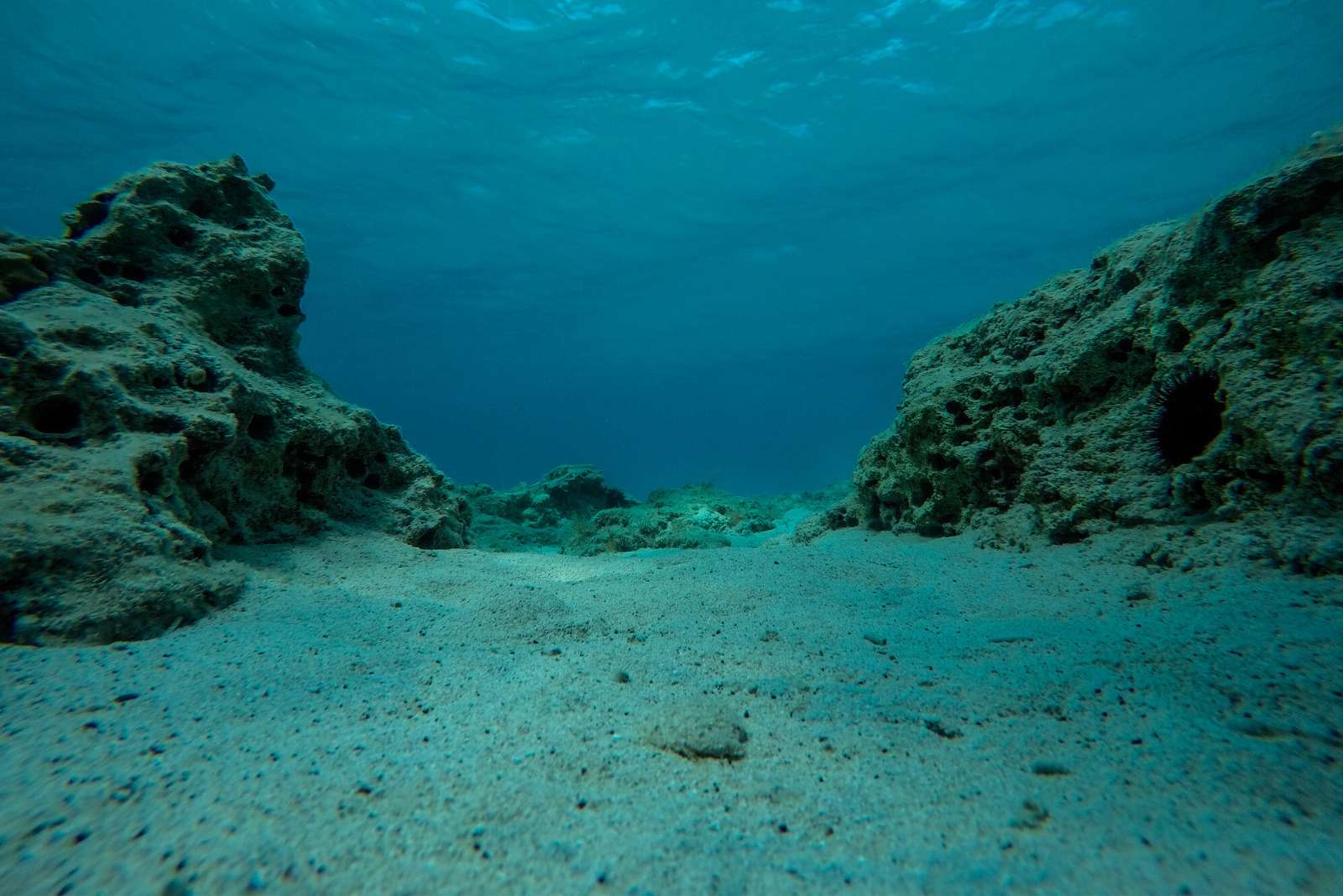 Un Gigantesque R Servoir Deau Cach Sous Loc An Pacifique Vient D