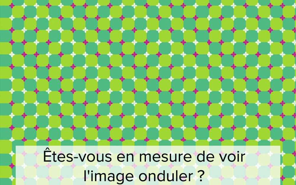 Photos Top Des Illusions D Optique Les Plus Surprenantes