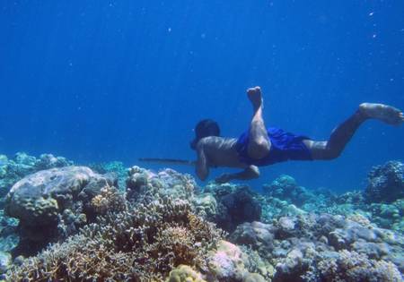 Photo non datée fournie le 19 avril 2018 par Melissa Ilardo d'un plongeur Bajau, en Indonésie. © Melissa Ilardo, AFP Photo non datée fournie le 19 avril 2018 par Melissa Ilardo d'un plongeur Bajau, en Indonésie. © Melissa Ilardo, AFP