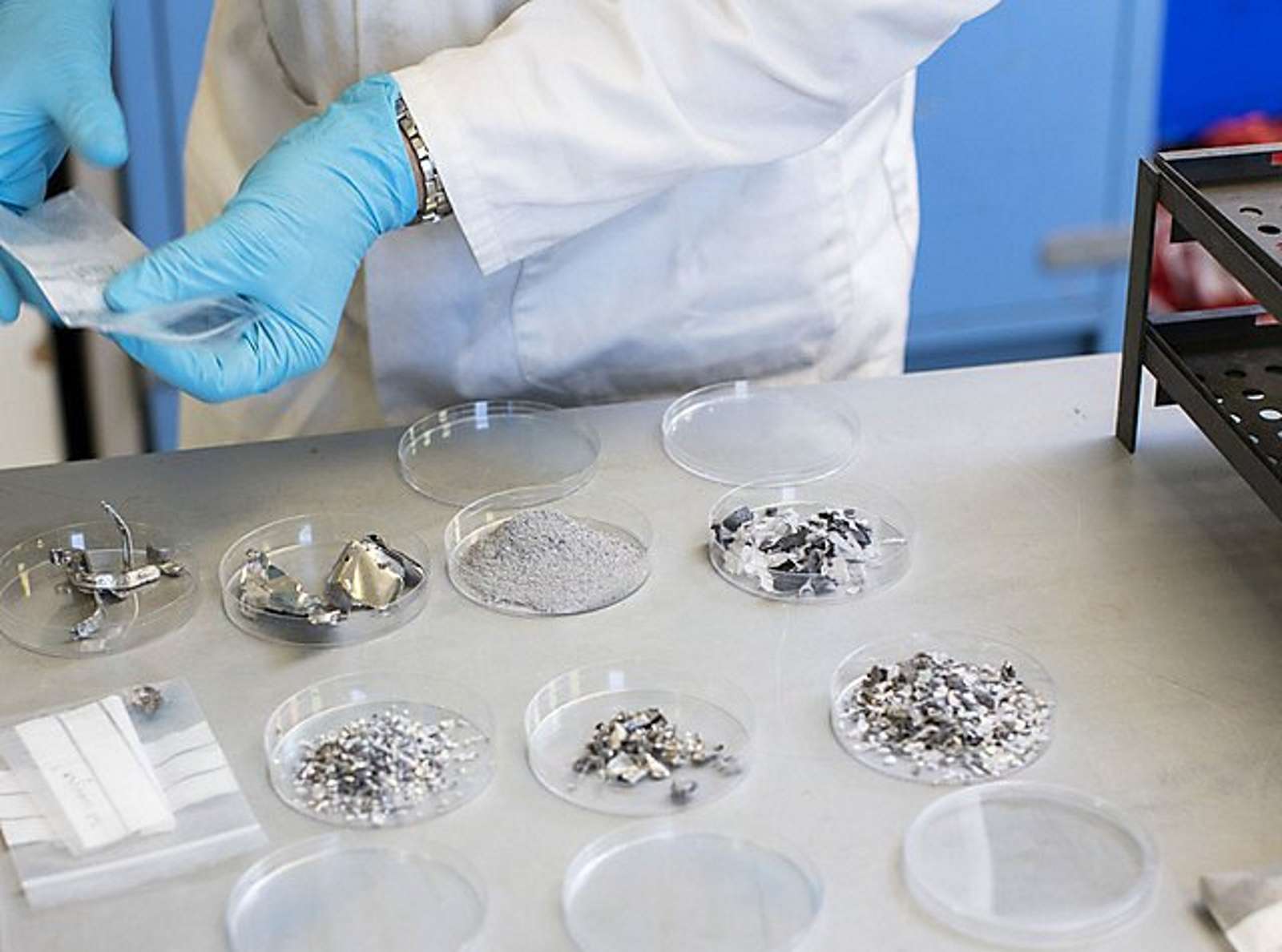 www.futura-sciences.com