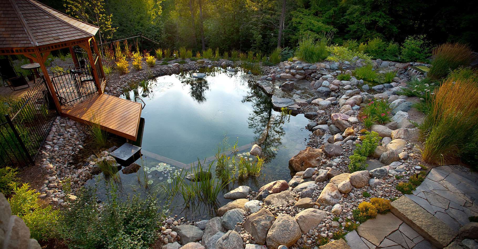 piscine-naturelle-recr-er-un-quilibre-biologique-dossier