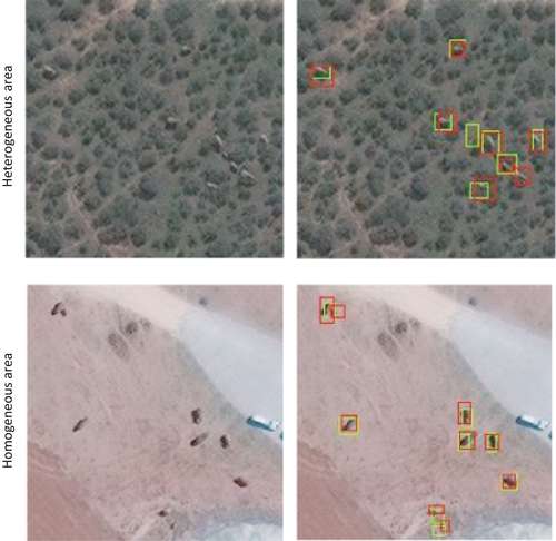 Les éléphants sont comptés depuis l'espace pour la première fois