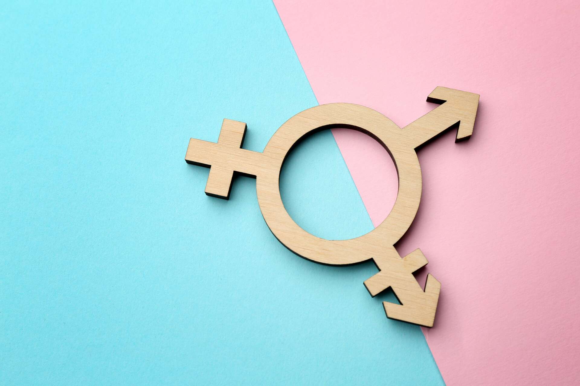 Définition Transgenre Transexuel