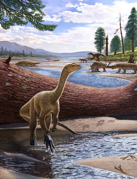 Découverte de l'un des plus vieux dinosaures d'Afrique
