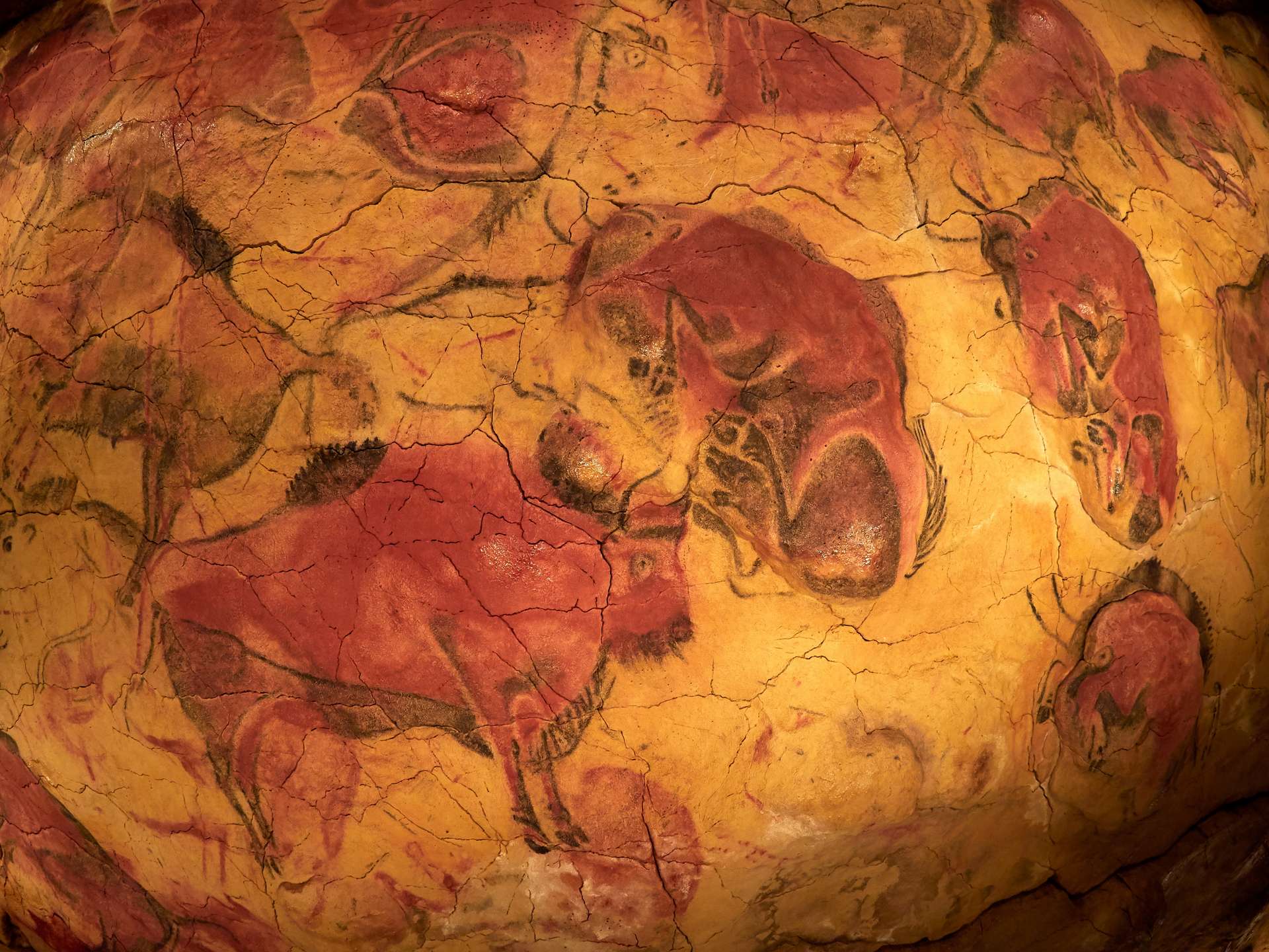 Jusqu'à peu, on considérait que les néandertaliens n'avaient pas réalisé de peintures rupestres. Mais une récente découverte remet cette certitude en question. © Bereta, Adobe Stock