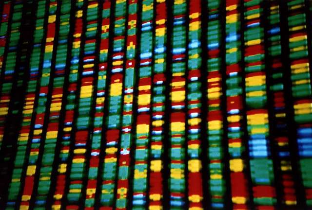 Notre génome contiendrait des gènes étrangers venant d’autres espèces. © Andy Leppard, Flickr, CC BY 2.0