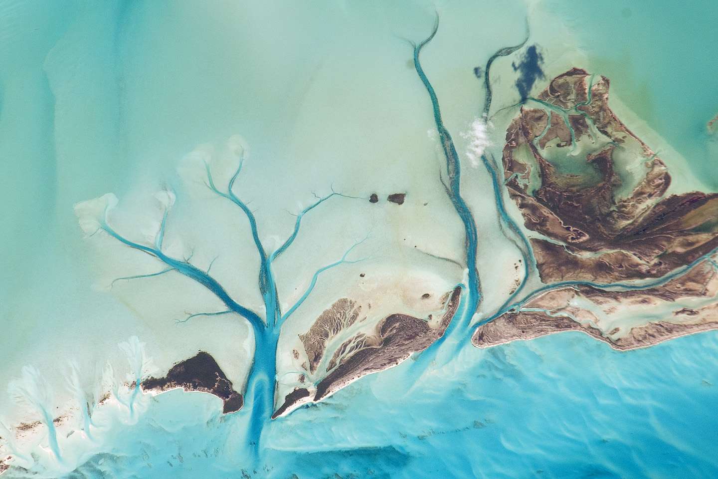 Le Nasa Earth Observatory vous invite à voter pour la meilleure image de son histoire