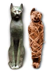 L Au Dela 4 Etoiles Pour Les Animaux De L Egypte Ancienne