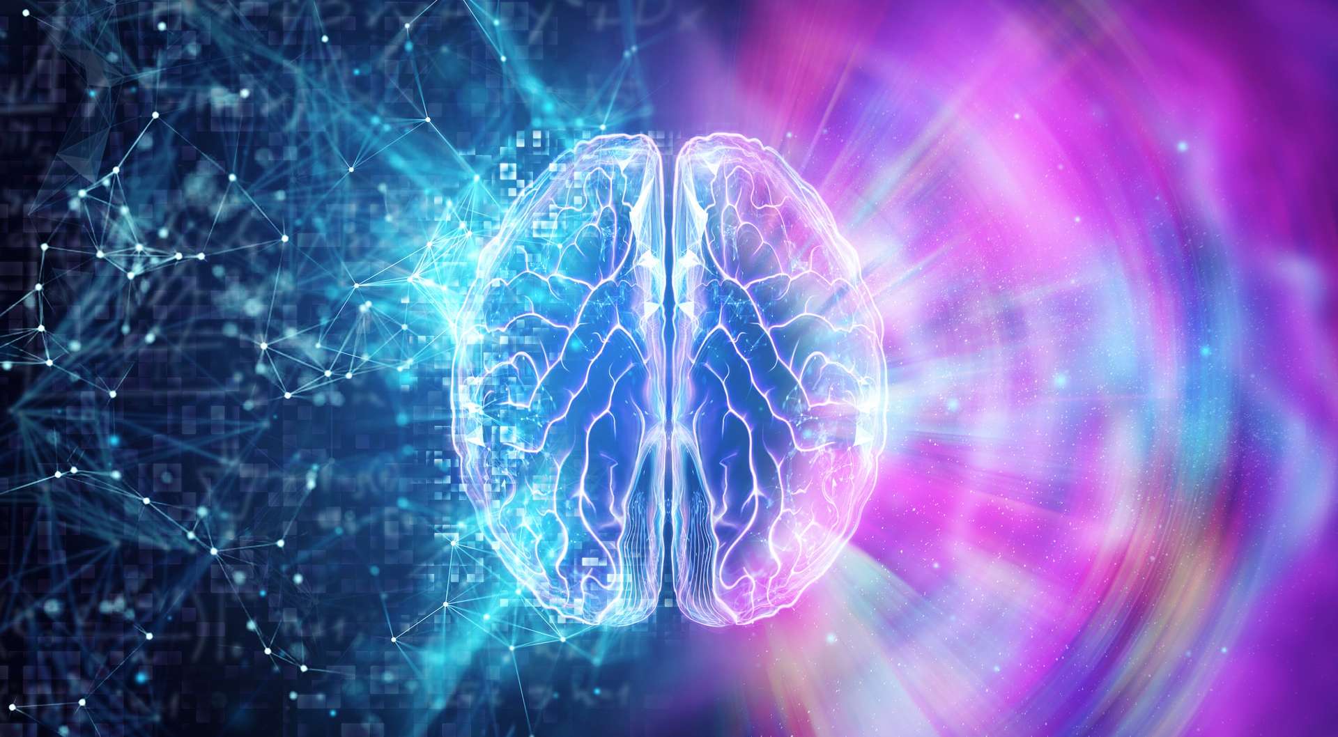 ¡La nueva tecnología te permite ver el cerebro latir!