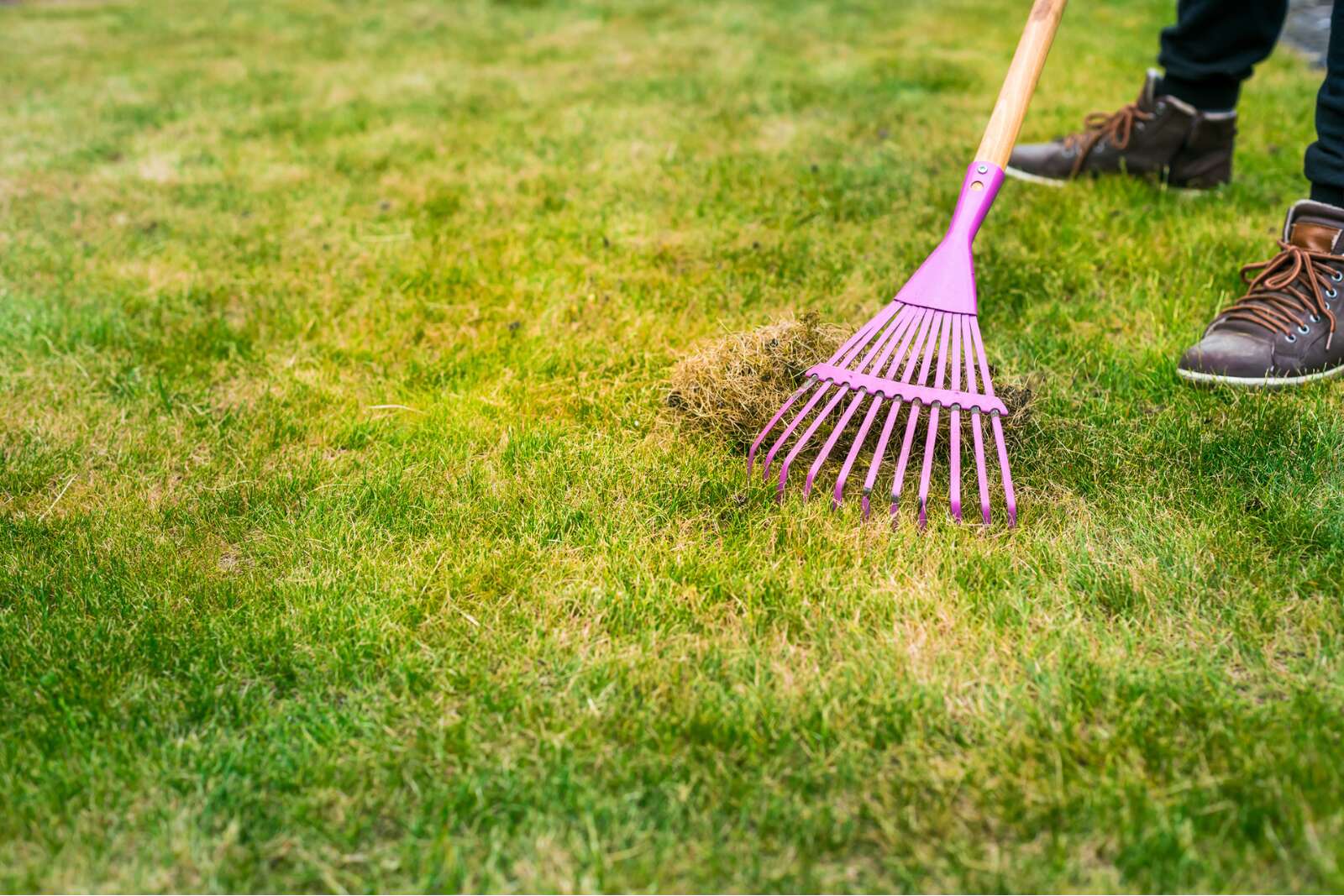 C'est le moment de préparer votre pelouse pour l'automne (et voici comment)