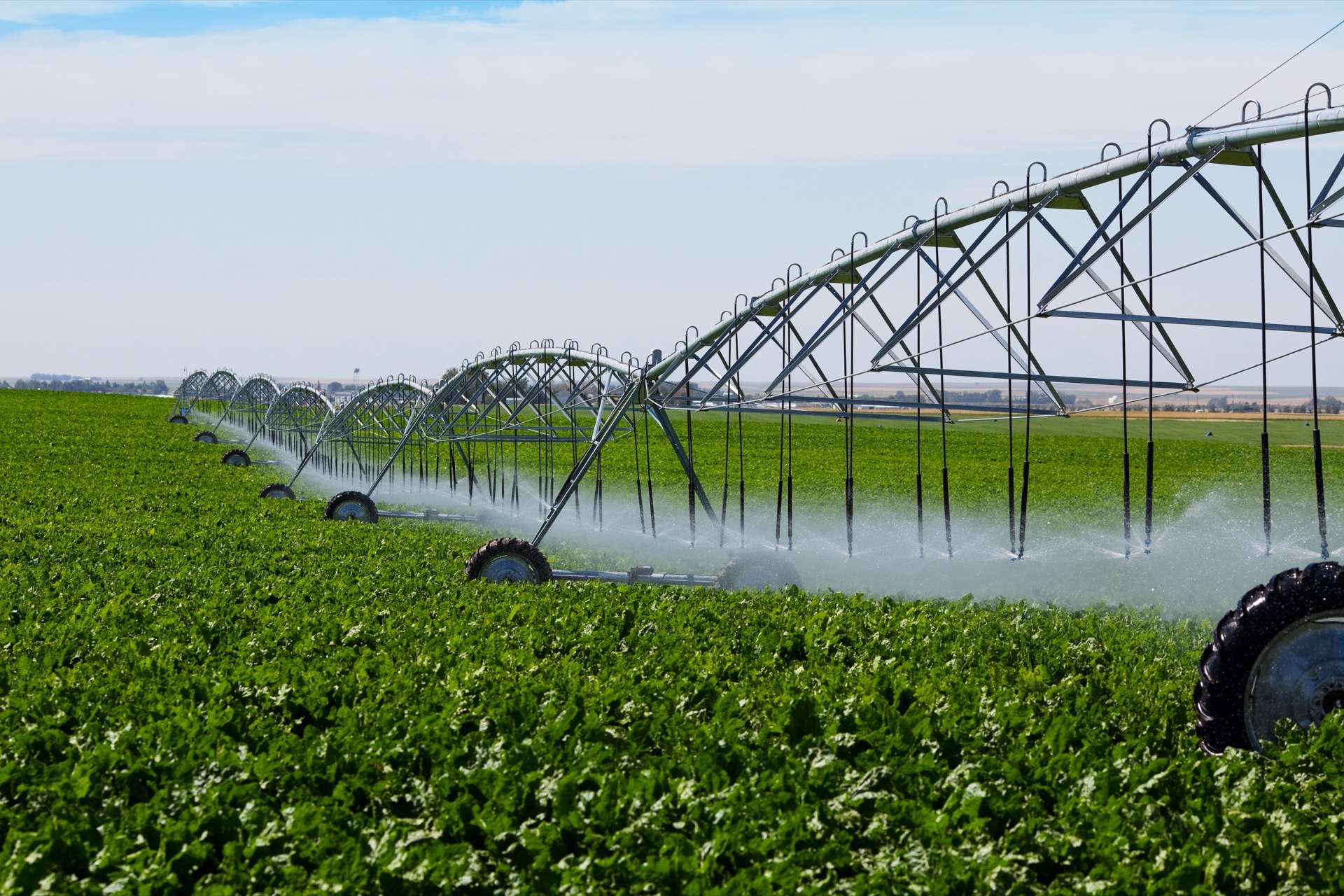 263391f85f_50225875_irrigation-agriculture.jpg