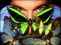 Réseaux de géocapteurs : armée de cyber-insectes et poussières intelligentes À quand des papillons renifleurs d'explosifs, téléguidés par l'homme ? (cf article de la BBC)