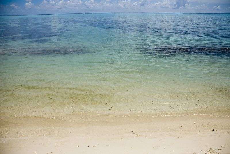 Plongez dans les eaux bleu turquoise de la plage de Hauru à Moorea. © Vilallonga, Creative Commons Attribution-Share Alike 2.5 Generic license