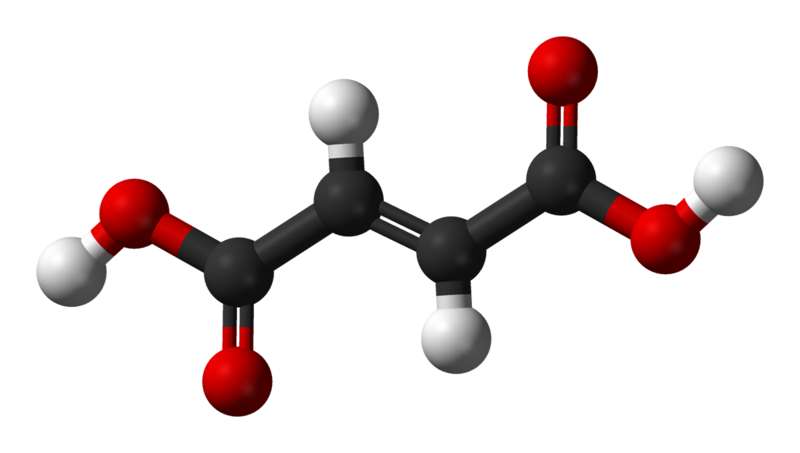 Le fumarate est la base conjuguée de l'acide fumarique (représenté ici). © Ben Mills, Wikimedia, domaine public