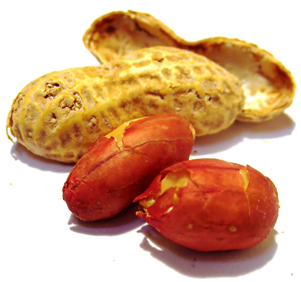 La cacahuète est la deuxième cause d'allergie alimentaire avant l'âge de trois ans. Une équipe britannique propose un traitement prometteur. © Darwin Bell, Flickr, cc by nc 2.0