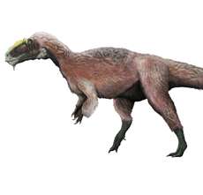 Yutyrannus Huali Le Plus Gros Dino A Plumes Cousin Du T Rex