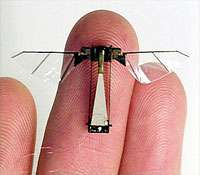 Dossier : éclairage sur les minidrones espions Mouche mécanique, Harvard Microbiotics. © Robert Wood