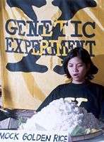 Coup d'arrêt au "riz pharmaceutique" Du riz transgéniqueCrédit : http://www.greenpeace.fr/