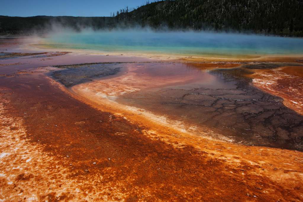 Image d'une source chaude dans le parc national de Yellowstone aux États-Unis. La couleur rouille révèle la présence d’archéobactéries extrêmophiles. © jurvetson, Flickr, cc by 2.0