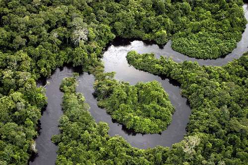 Le Rio Renato, dans la forêt amazonienne. Une région qui capte les gaz à effet de serre plus qu'elle n'en émet © De leoffreitas / Flickr - Licence Creative Common (by-nc-sa 2.0)