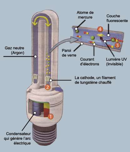 L'ionisation du gaz dans le tube des lampes fluocompactes est à l'origine du temps d'allumage. © DR