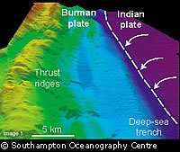Tsunami : premières images du fond marin de la zone du tremblement de terre Une image reconstituée de la zone sous-marine impliquée