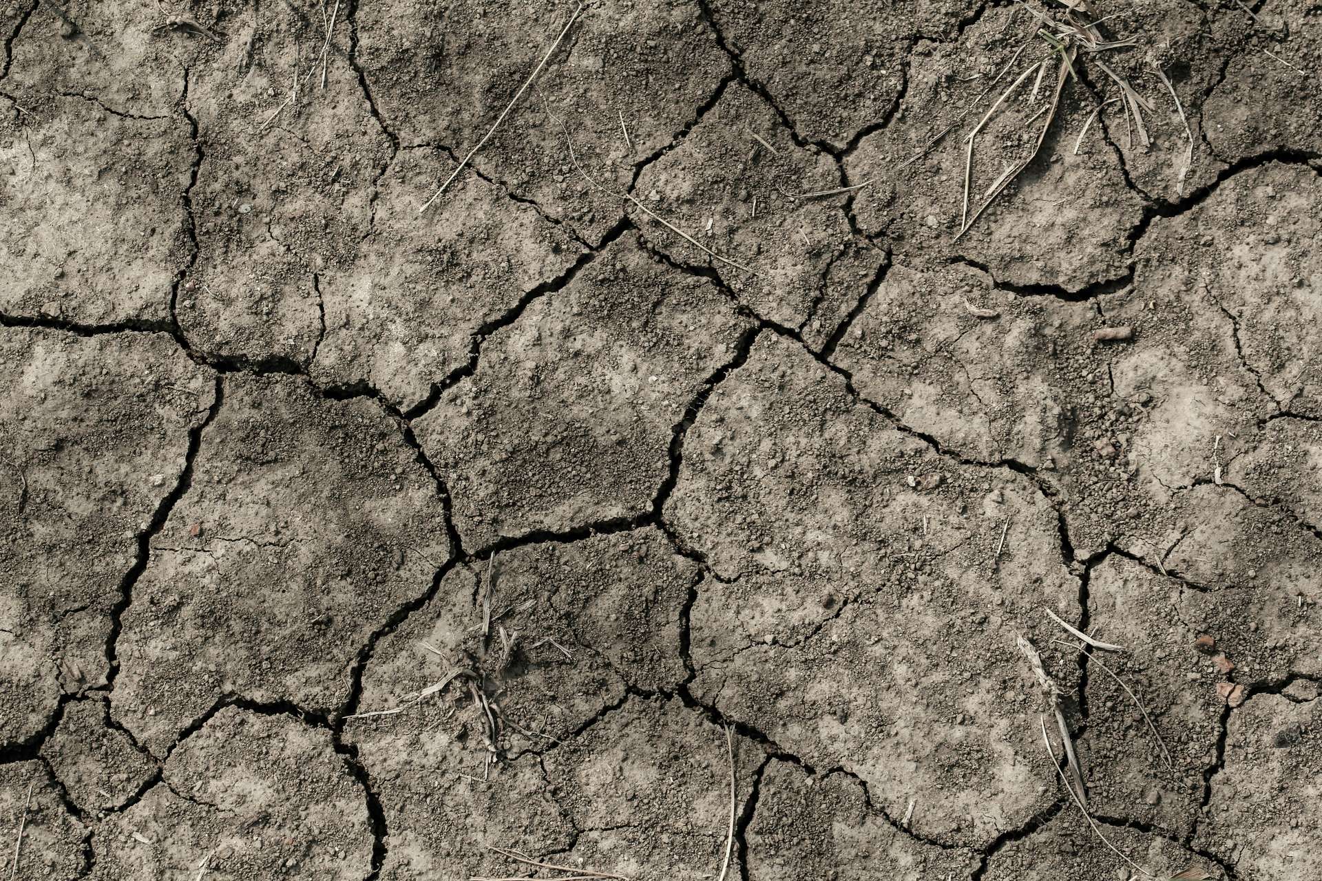 Qual è il periodo più caldo nella storia della Terra?