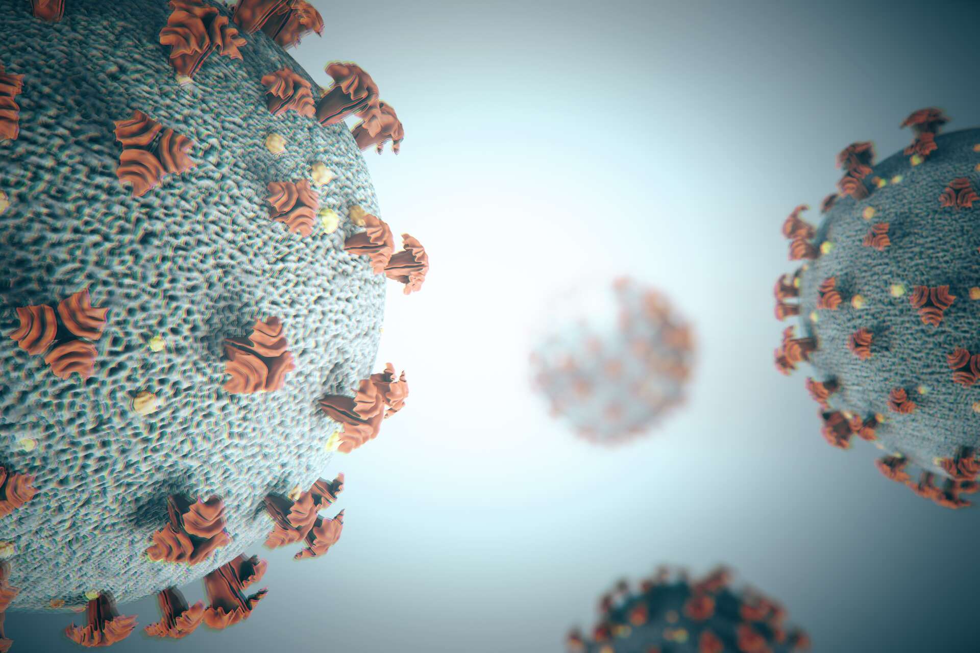 Dobbiamo preoccuparci dell’iride, la nuova variante del coronavirus?