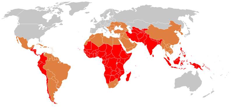 La fièvre typhoïde touche surtout les pays en développement (carte de 2006). © Percherie, Wikimedia, by-sa 3.0