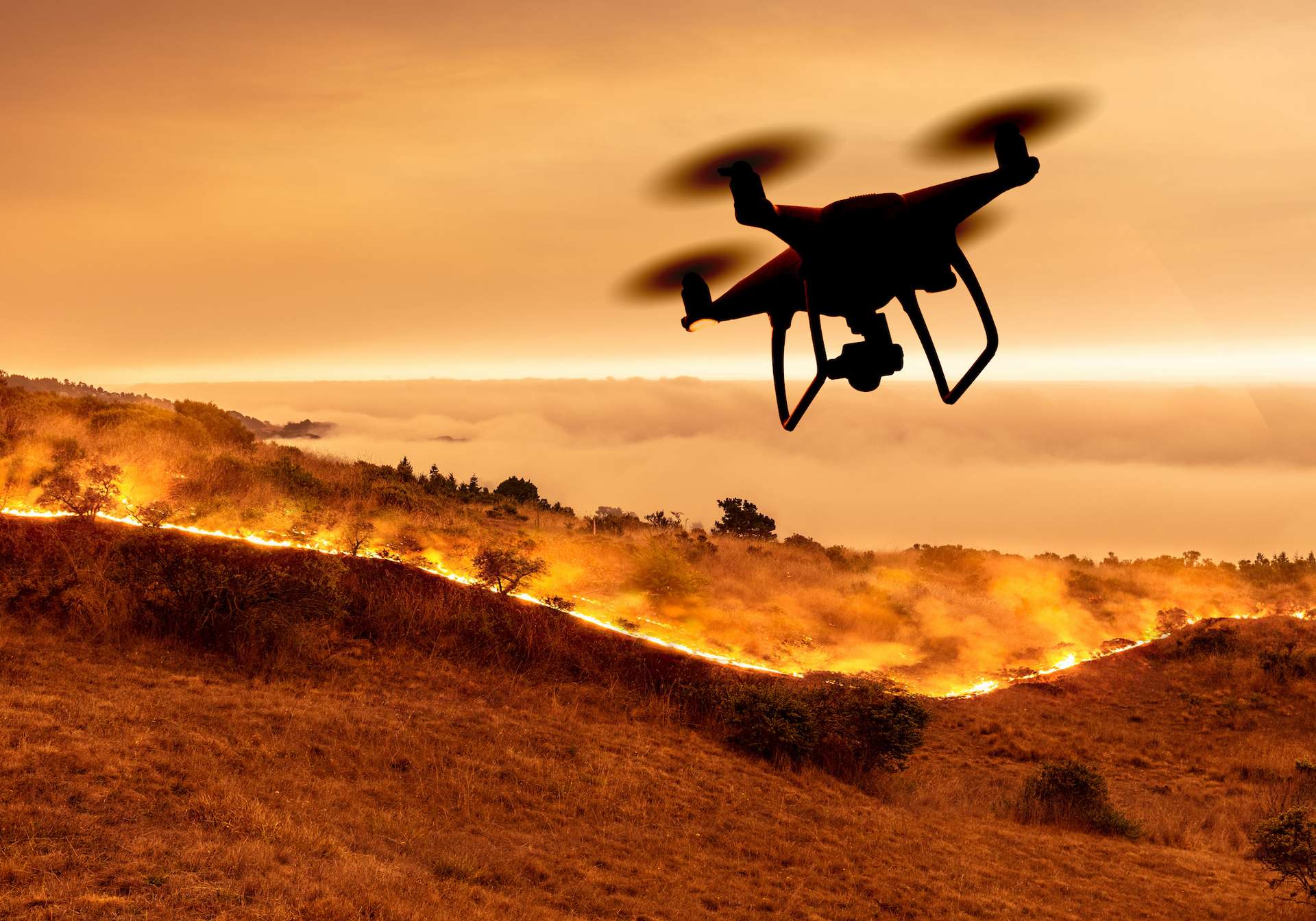 Un drone pour détecter précocement les feux de forêts