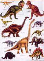 Le rôle du CO2 dans la plus grande extinction de masse de l'histoire Les dinosaures auraient disparu par une extinction de masse