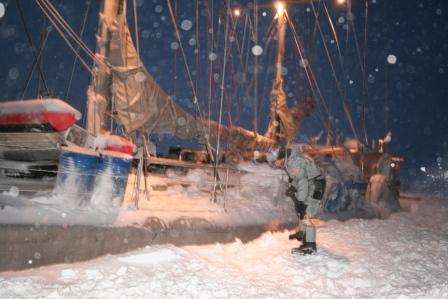 banquise arctique le voilier tara confirme son importante regression