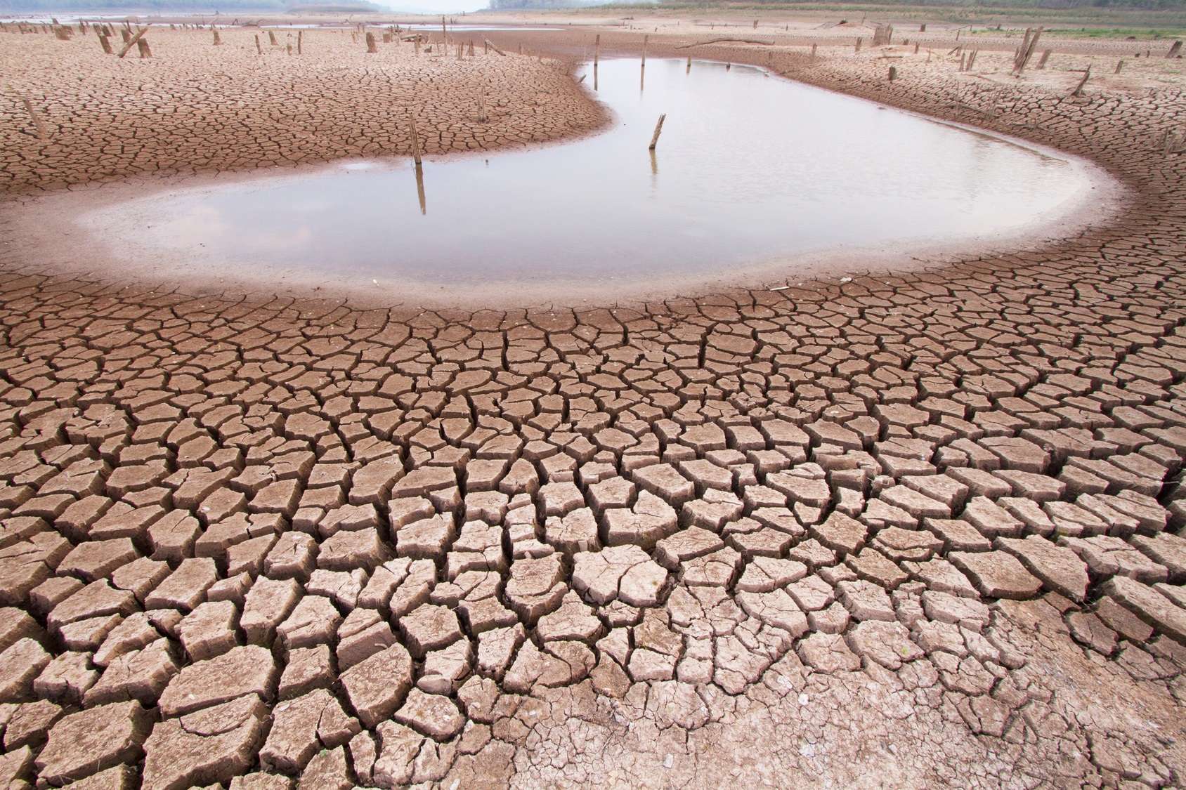Le mois de juillet 2022 se distingue par des records de sécheresse. © piyaset, Fotolia