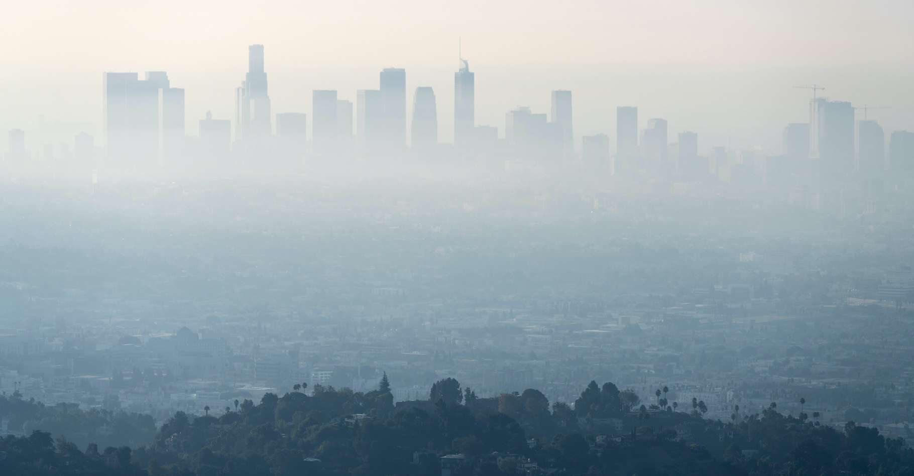 Dans le monde, la pollution de l’air fait perdre à chaque être humain environ 2,2 années d’espérance de vie. © trekandphoto, Adobe Stock