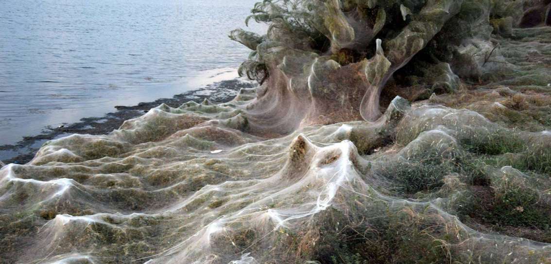 Breve Grece Une Toile D Araignee Geante De 1 Km De Long Recouvre Un Lac