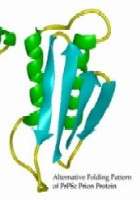 Forme pathogène de la la protéine Prp (prion)Crédit : Whitehead Institute The Massachusetts Institute of Technology