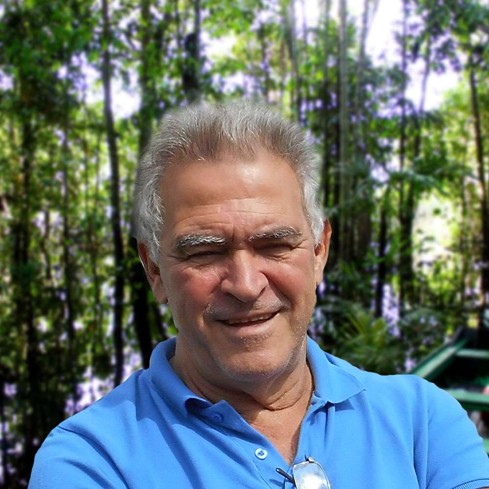 Biographie Arkan Simaan Physicien Futura Sciences