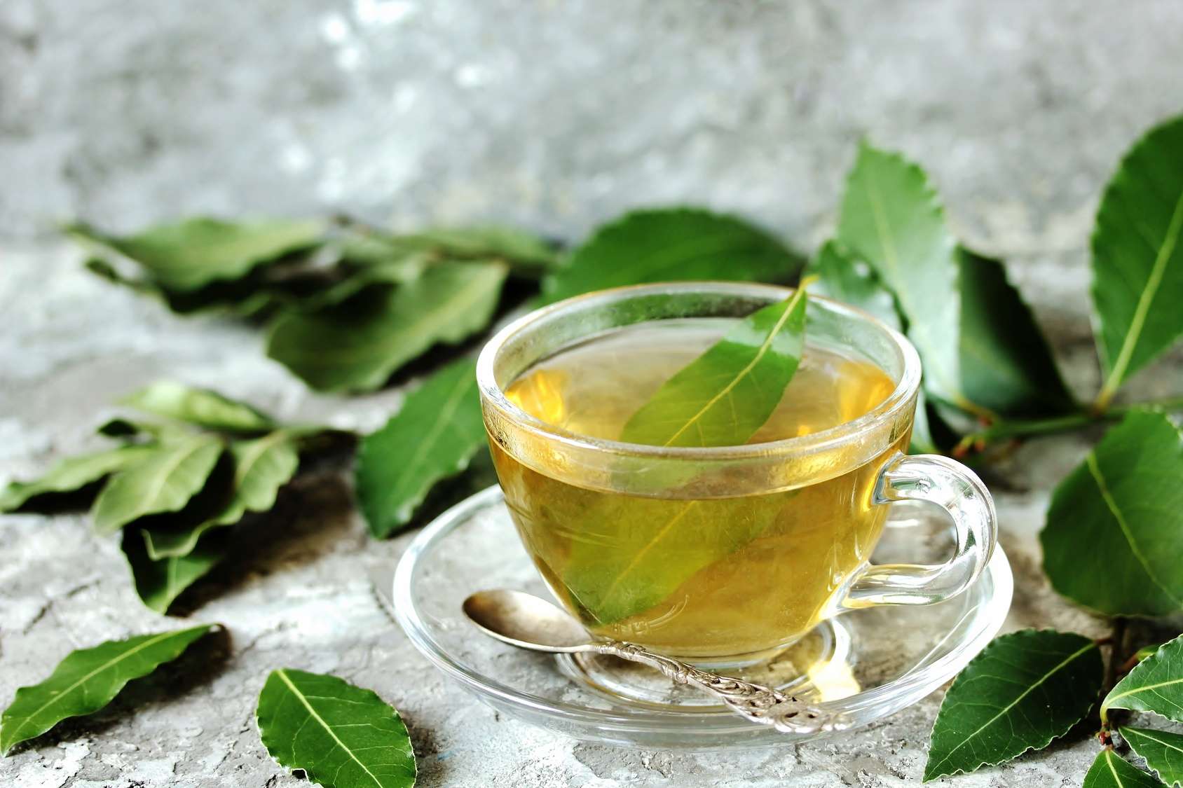 Зеленый чай вечером. Зеленый чай листья. Настой из лаврового листа. Чайные листочки. Чай с Лавруш к Ой.