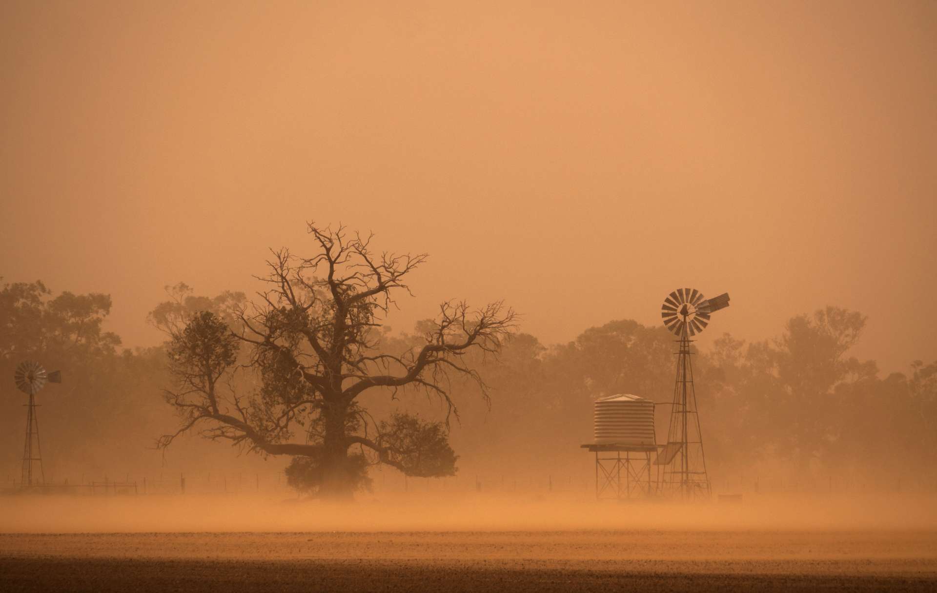 Breve Apres Les Flammes Une Tempete De Sable Ravage L Australie