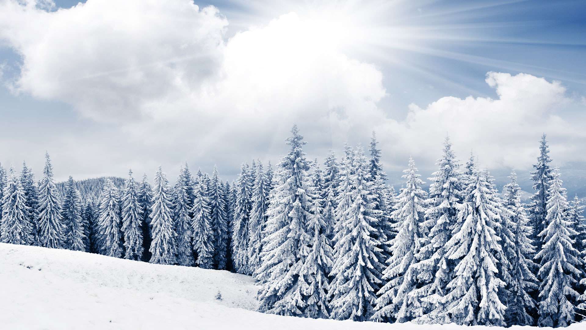 Pourquoi le sel faitil fondre la neige