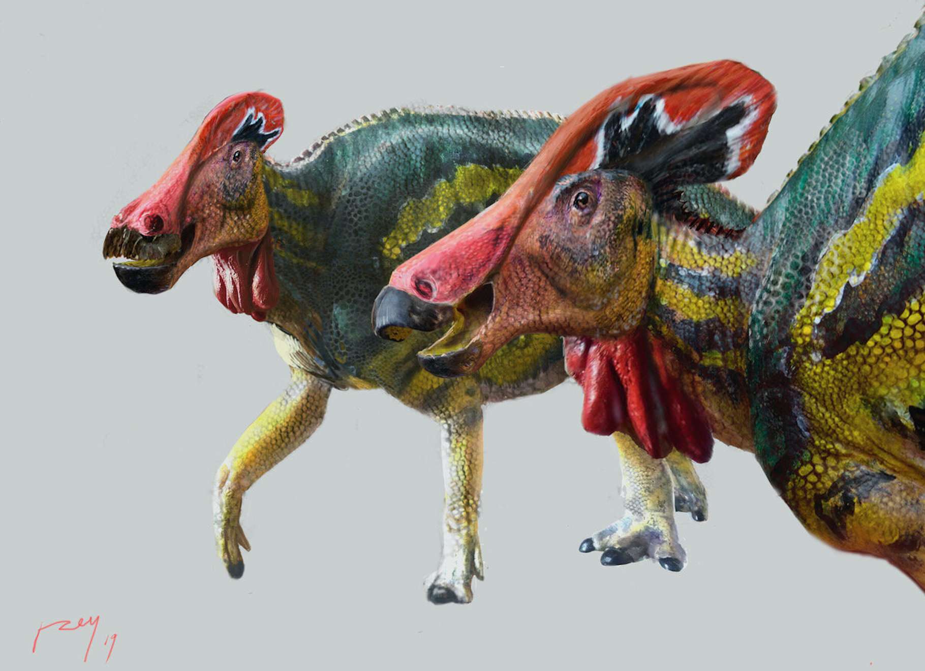DINOSAURES : Histoire évolutive des dinosaures - Encyclopædia Universalis