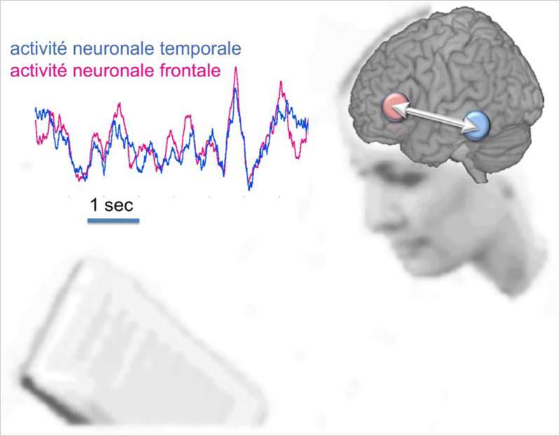 Le smartphone ramollit le cerveau des enfants