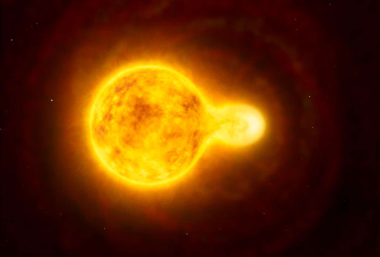 Cette vue d'artiste montre l'étoile hypergéante jaune HR 5171. Il s'agit d'une étoile de type très rare dont une douzaine seulement peuple notre galaxie. Ses dimensions sont plus de 1.300 fois supérieures à celles du Soleil, ce qui en fait l'une des dix étoiles les plus grosses découvertes à ce jour. Des observations effectuées au moyen de l'Interféromètre du Très Grand Télescope de l'ESO ont montré qu'il s'agit en réalité d'une étoile double, dont le compagnon (HR 5171 B à droite) se trouve en contact direct avec l'étoile principale (HR 5171 A à gauche). © ESO