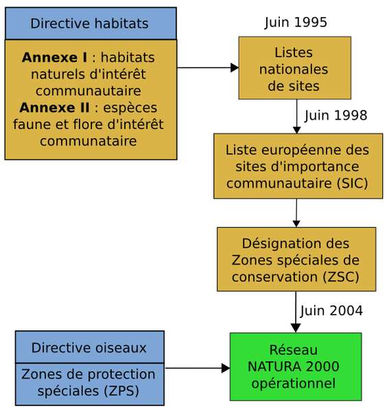 Schéma du processus de désignation des zones spéciales de conservation du réseau Natura 2000. © Hagen de Merak, Wikimédia CC by-sa 3.0