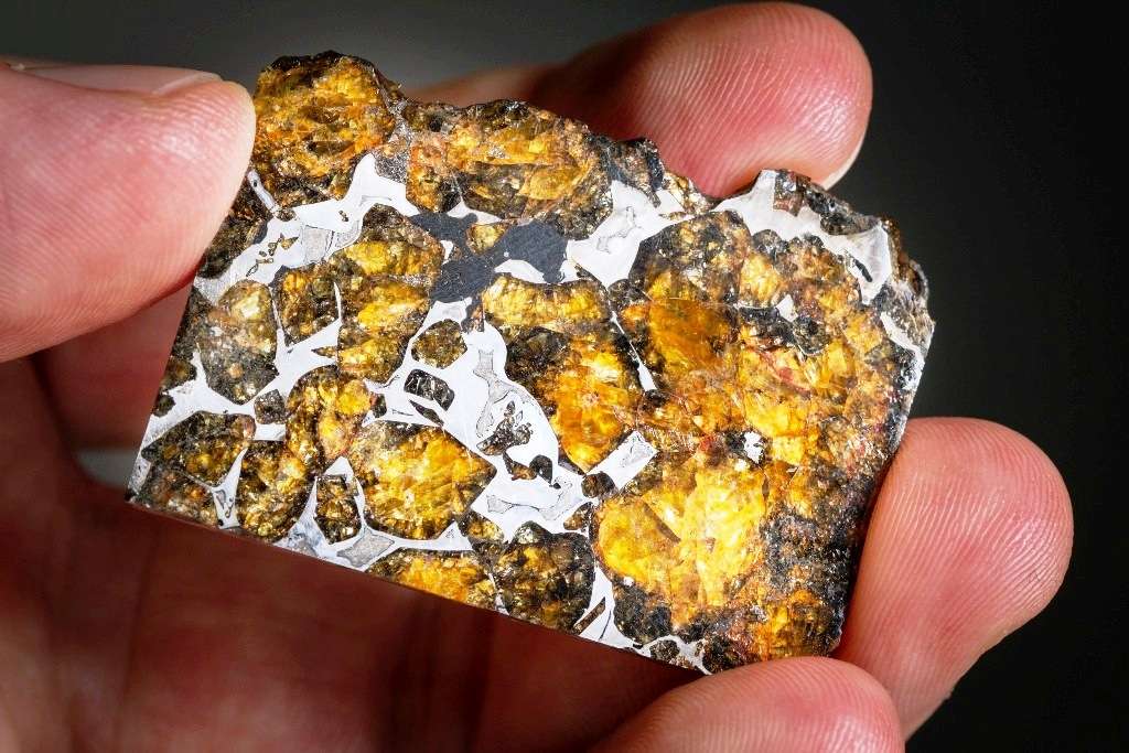 On voit sur cette image la coupe d'une Pallasite. Ce sont des météorites mixtes où l'on observe des cristaux d’olivines noyés dans un alliage de fer et de nickel. On pense qu’il s’agit d’échantillons de la couche présente à l’interface du noyau et du manteau de gros astéroïdes. Le même type de roches se retrouve très probablement à cette même interface sur Terre. © J. Debosscher, KU Leuven