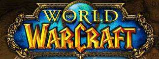 Jeux en réseau massivemement multijoueurs : du virtuel au réel World of Warcraft, le plus important jeu en réseau massivemement multijoueur (6,5 millions de joueurs à travers le monde)