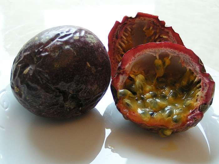 Definition Fruit De La Passion Maracuja Futura Planete