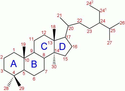 The Most Common Mistakes People Make With cure de steroide prise de masse