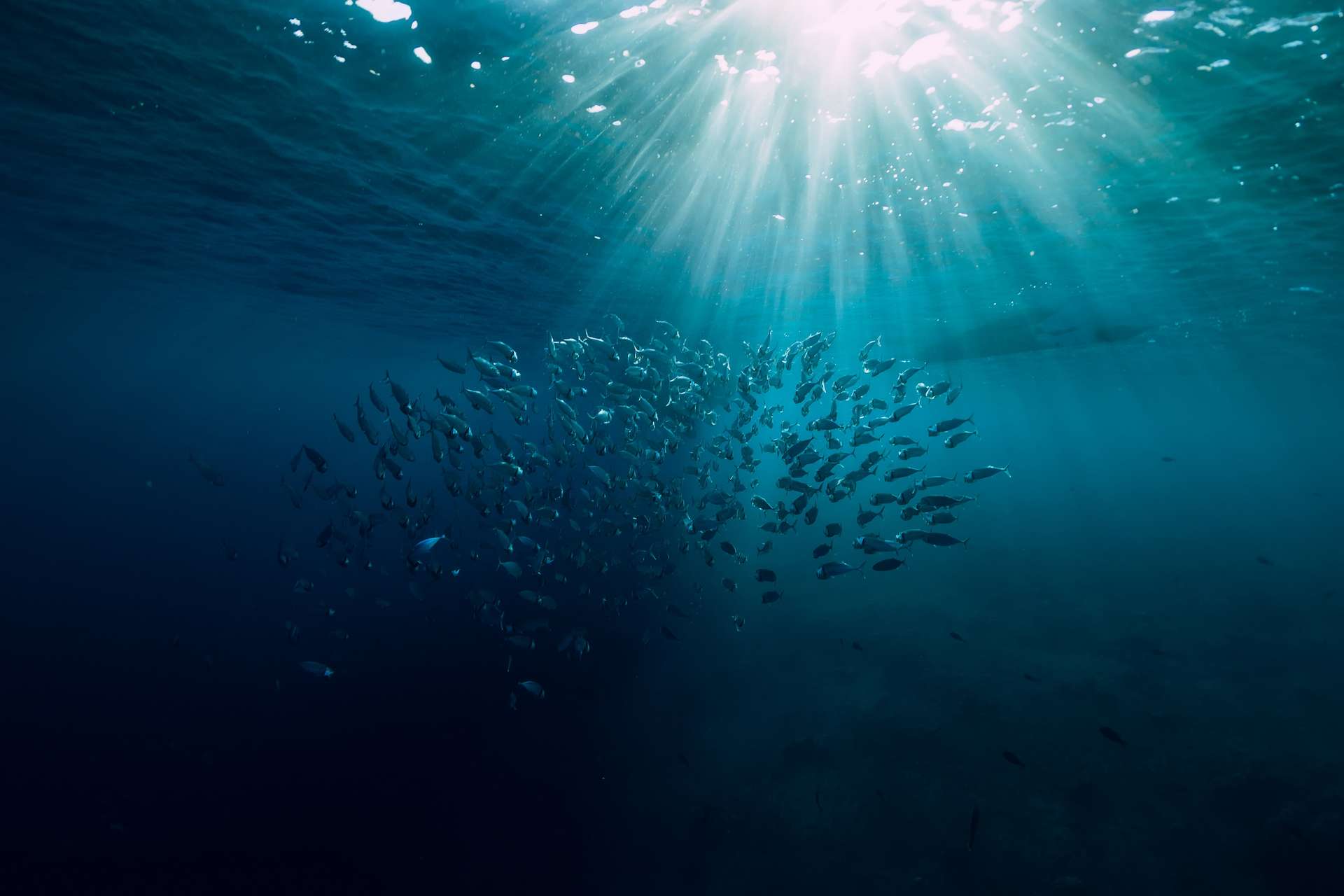 “Neptune 100 Project: American Man Spends 100 Days Underwater to Study Physiological Effects of High Pressure”